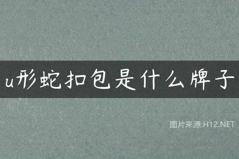 u形蛇扣包是什么牌子