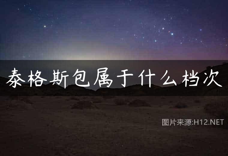 泰格斯包属于什么档次