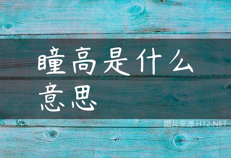 瞳高是什么意思