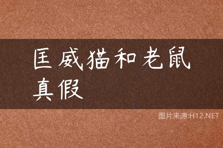 匡威猫和老鼠真假