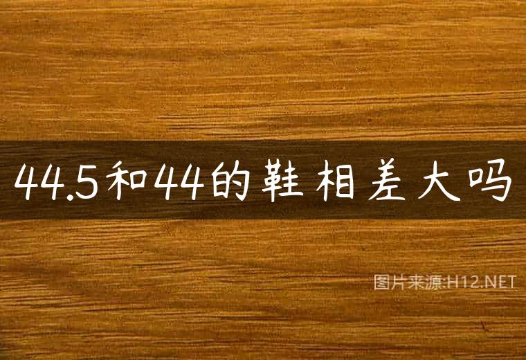 44.5和44的鞋相差大吗