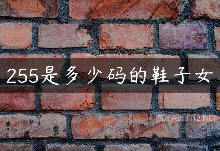 255是多少码的鞋子女
