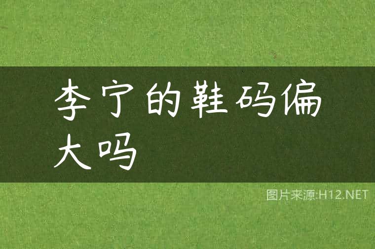 李宁的鞋码偏大吗