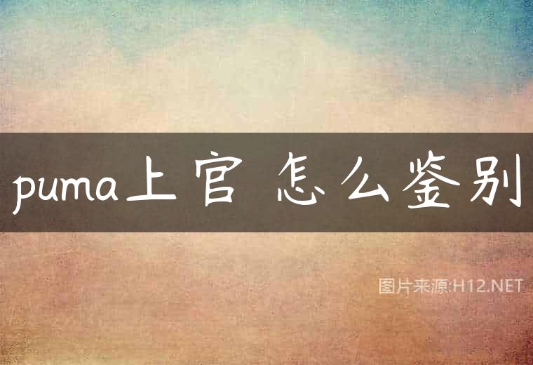 puma上官喆怎么鉴别