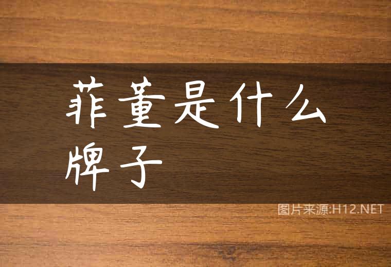 菲董是什么牌子