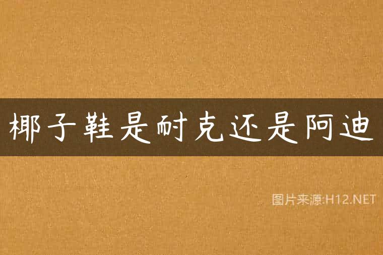 椰子鞋是耐克还是阿迪