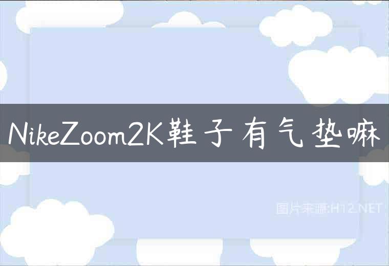 NikeZoom2K鞋子有气垫嘛