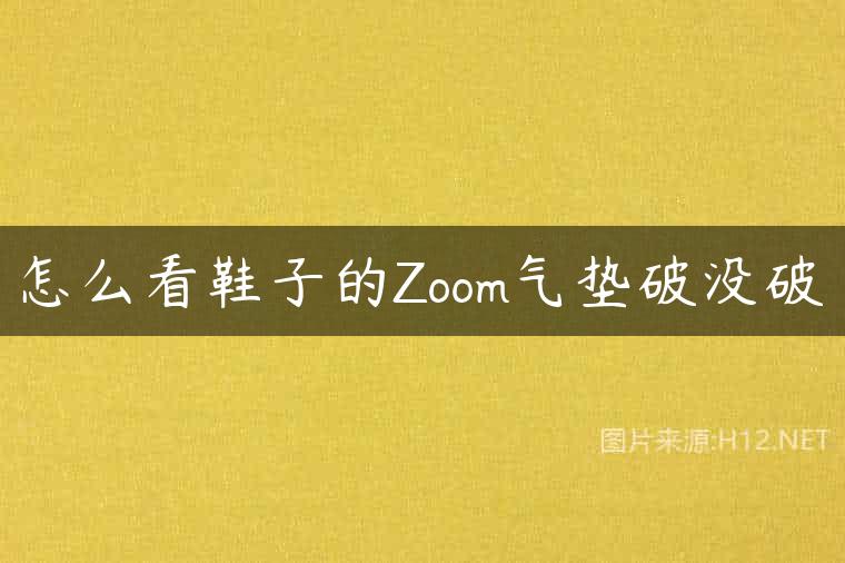 怎么看鞋子的Zoom气垫破没破
