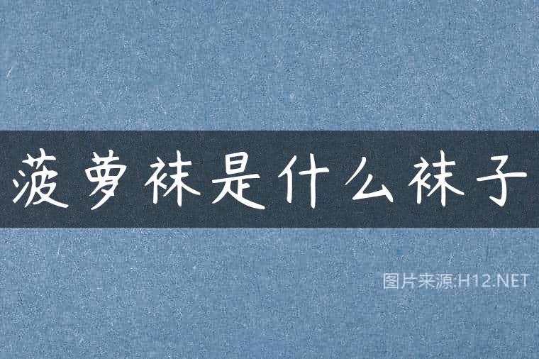 菠萝袜是什么袜子