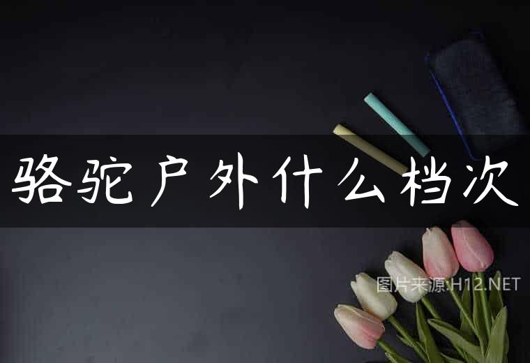 骆驼户外什么档次
