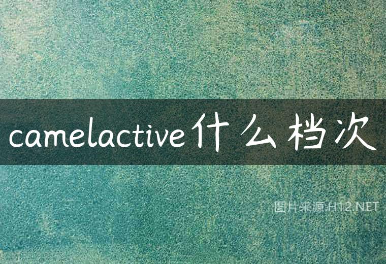 camelactive什么档次
