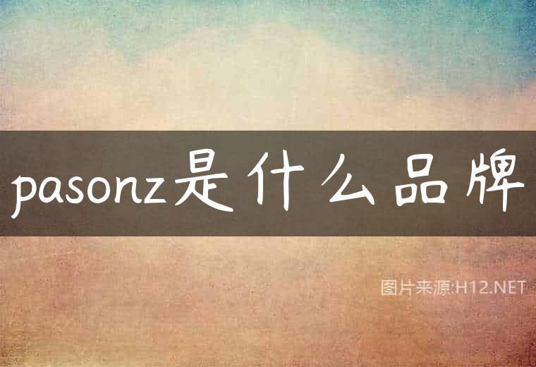 pasonz是什么品牌