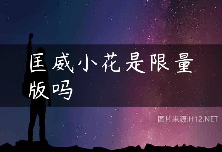 匡威小花是限量版吗
