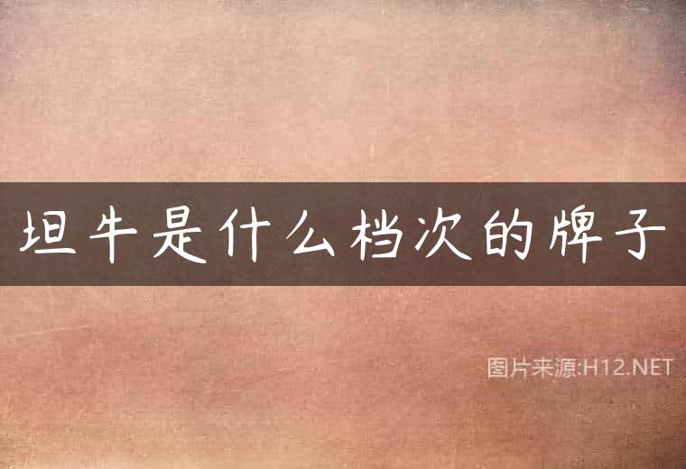 坦牛是什么档次的牌子