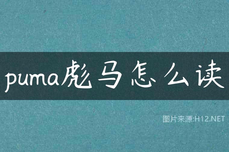 puma彪马怎么读