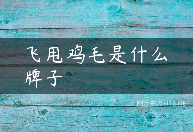 飞甩鸡毛是什么牌子