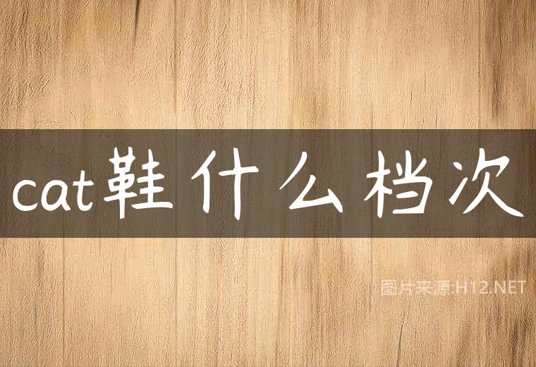 cat鞋什么档次