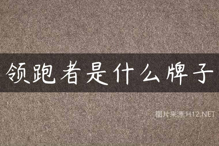 领跑者是什么牌子