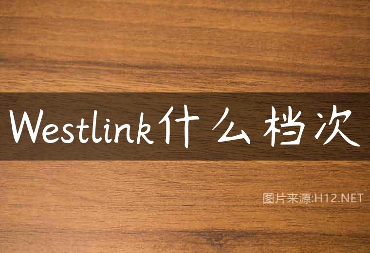 Westlink什么档次