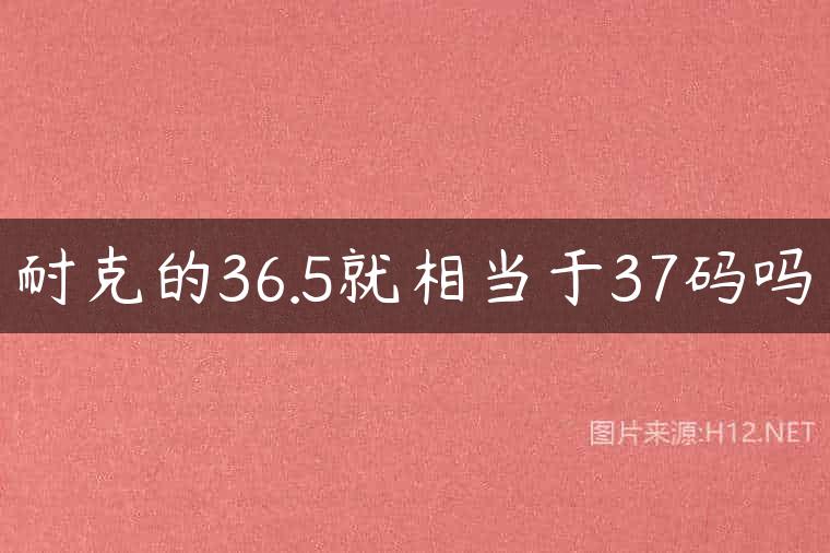 耐克的36.5就相当于37码吗