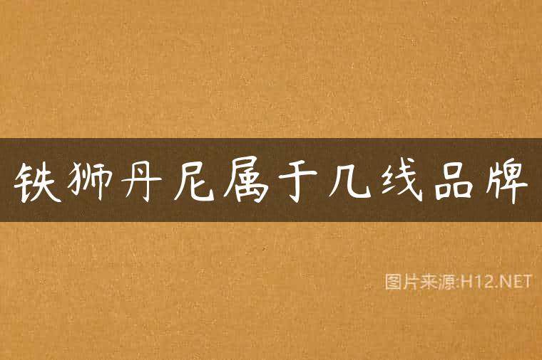 铁狮丹尼属于几线品牌