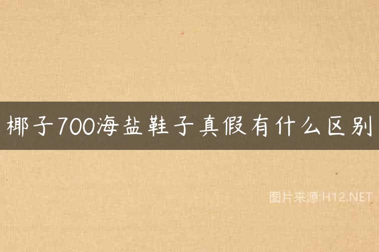 椰子700海盐鞋子真假有什么区别