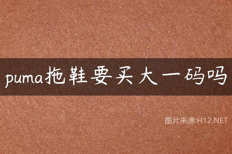 puma拖鞋要买大一码吗