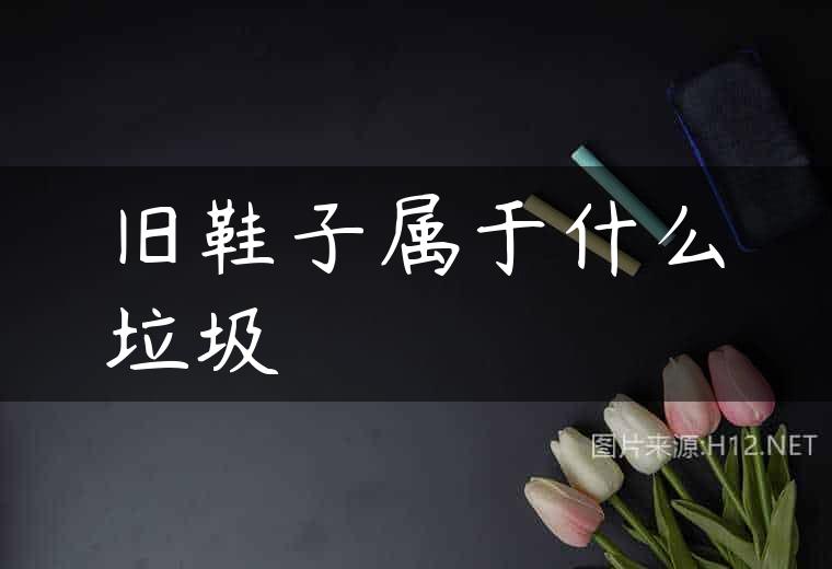 旧鞋子属于什么垃圾