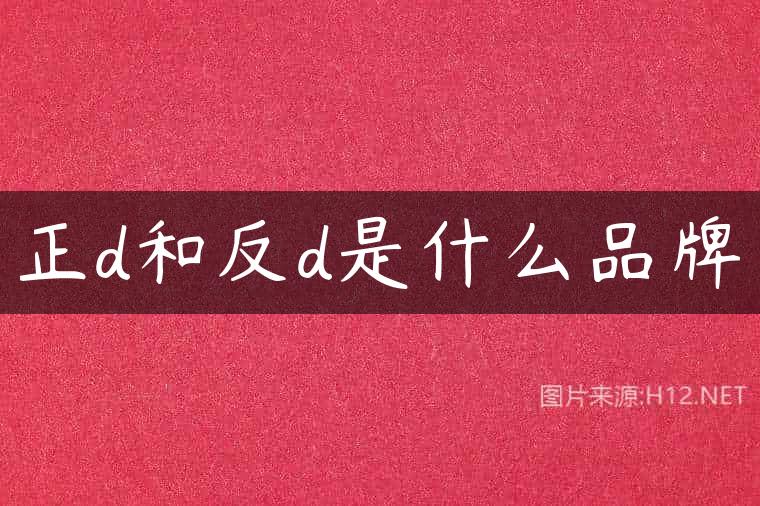 正d和反d是什么品牌