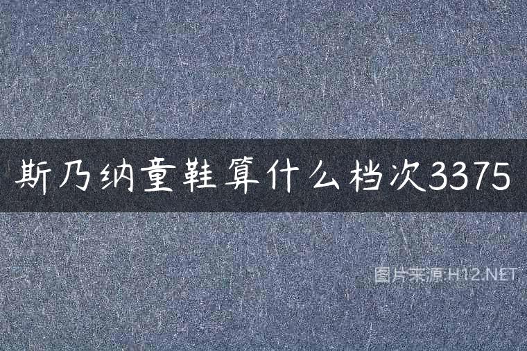斯乃纳童鞋算什么档次3375