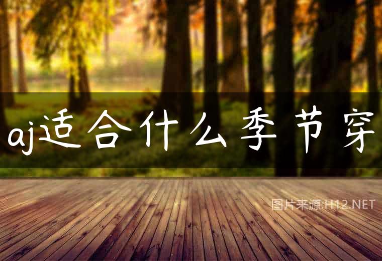 aj适合什么季节穿