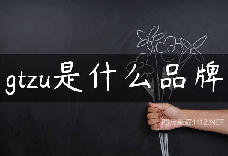 gtzu是什么品牌