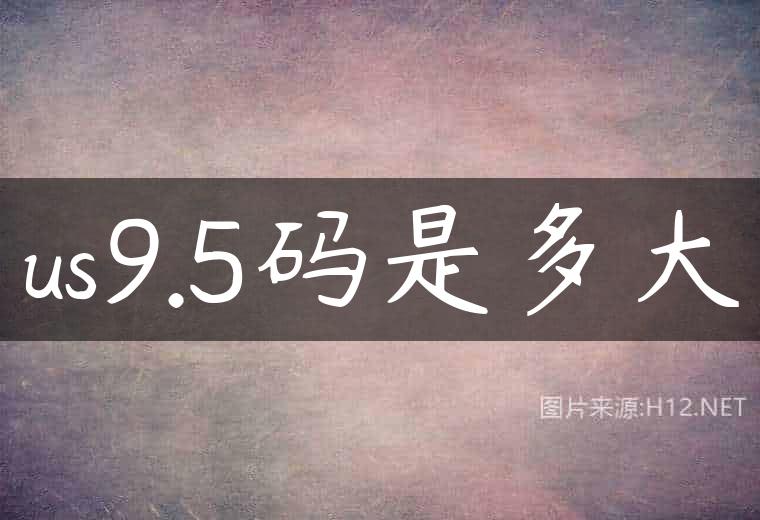 us9.5码是多大