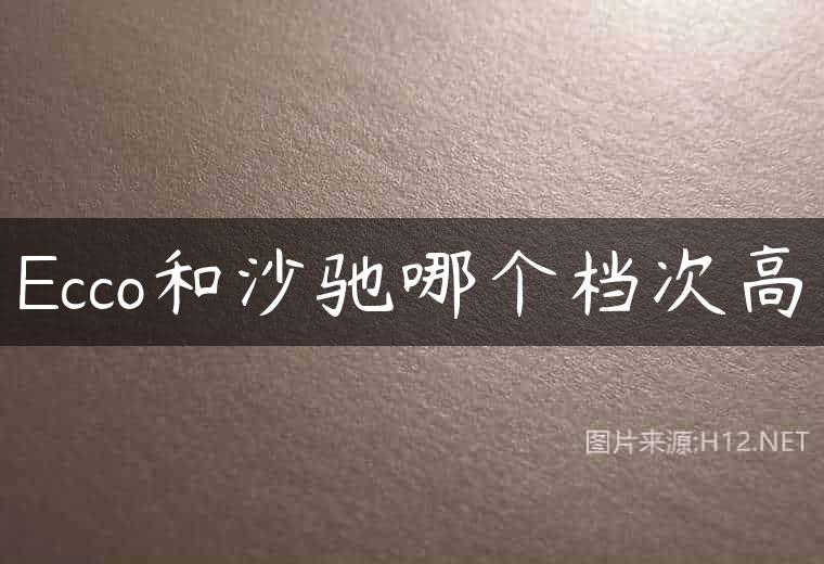 Ecco和沙驰哪个档次高