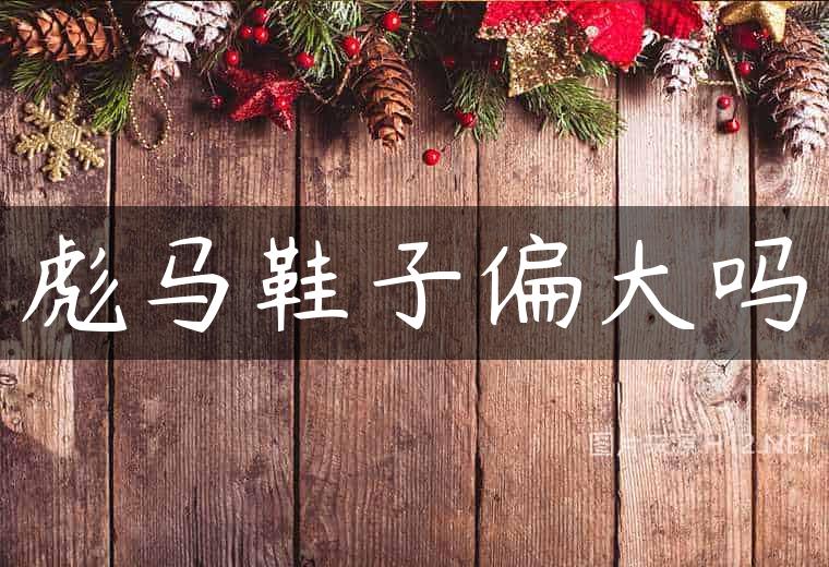彪马鞋子偏大吗