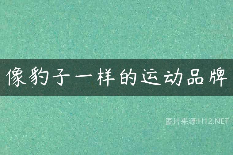 像豹子一样的运动品牌