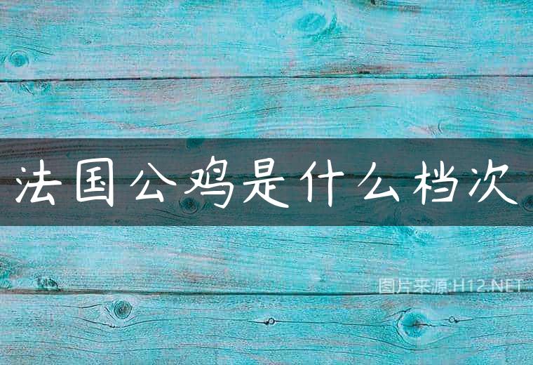 法国公鸡是什么档次