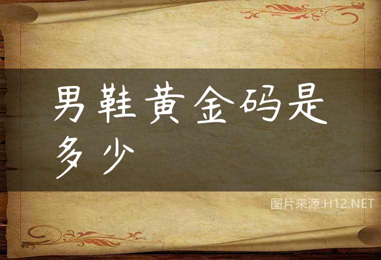 男鞋黄金码是多少