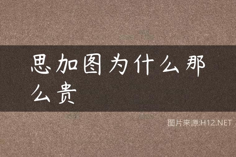 思加图为什么那么贵