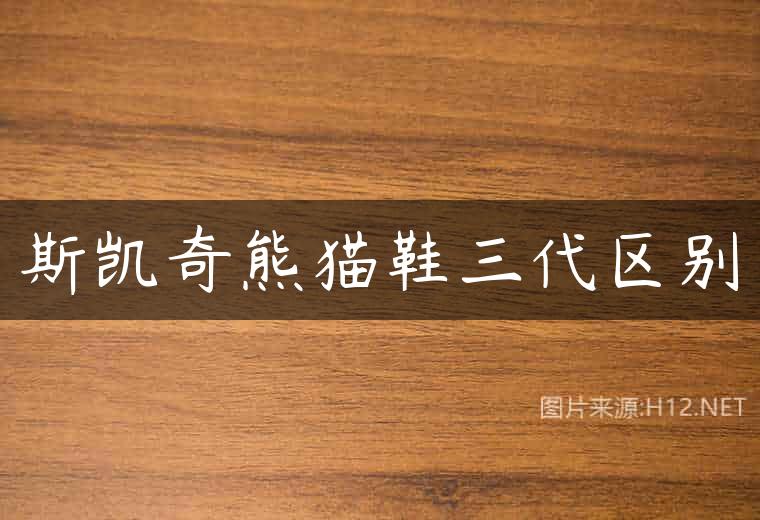 斯凯奇熊猫鞋三代区别