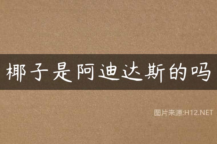椰子是阿迪达斯的吗