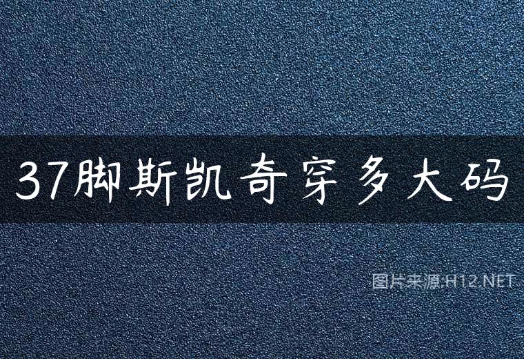 37脚斯凯奇穿多大码