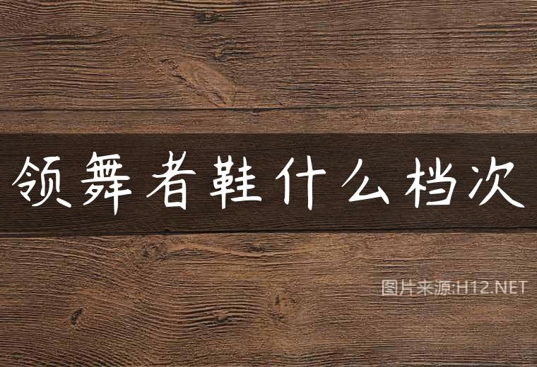 领舞者鞋什么档次