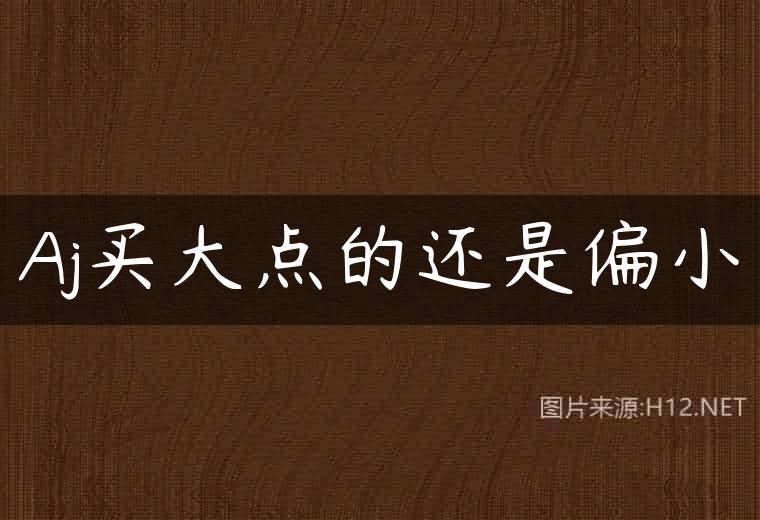 Aj买大点的还是偏小