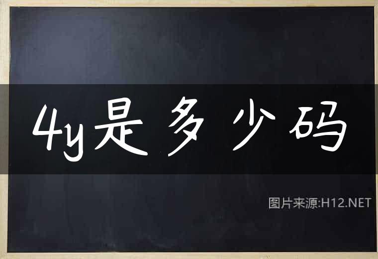 4y是多少码