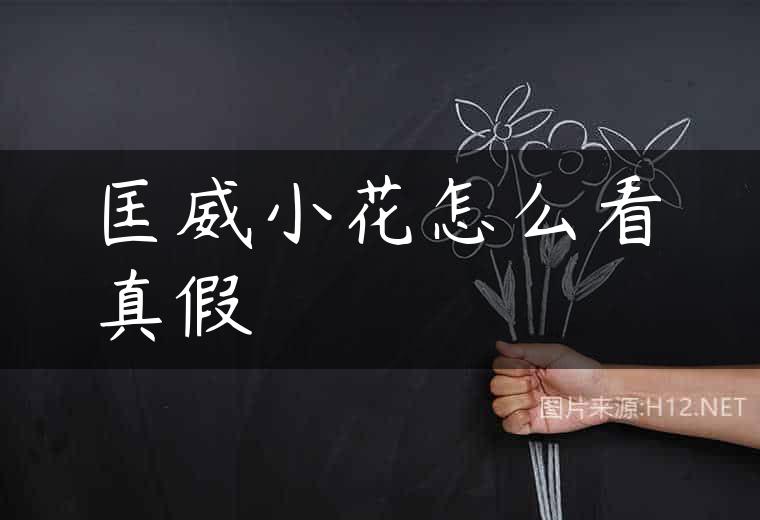 匡威小花怎么看真假