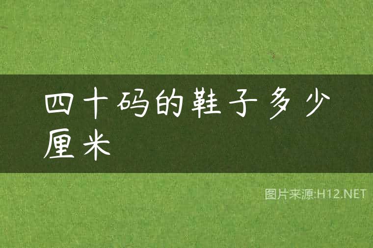 四十码的鞋子多少厘米
