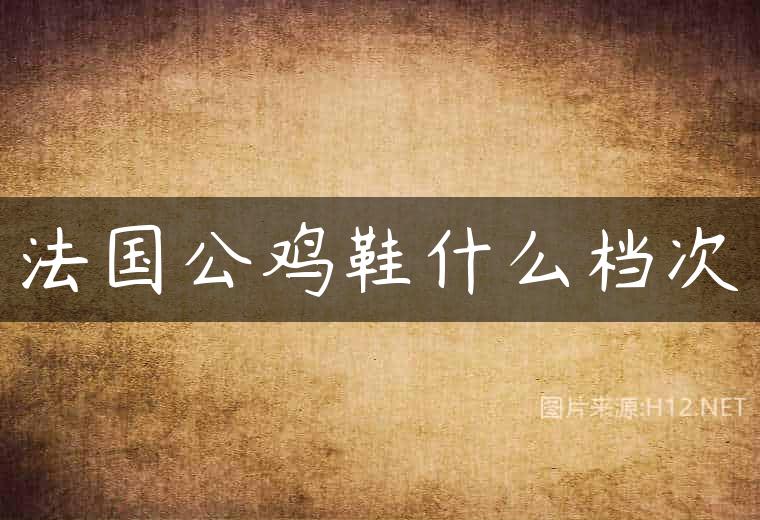 法国公鸡鞋什么档次
