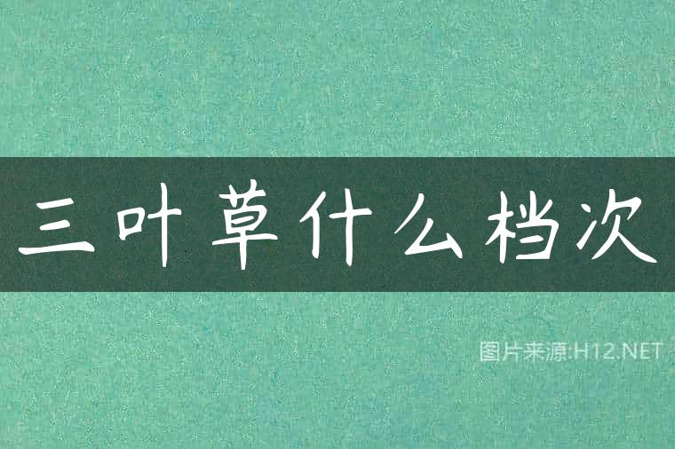 三叶草什么档次
