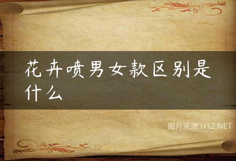 花卉喷男女款区别是什么